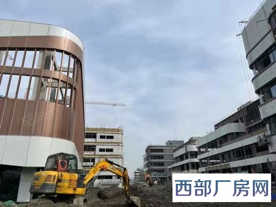 天府新区厂房出售 央地联合 眉山50年产权标准厂房，电子材料，汽车电子，光学仪器-四川成都厂房出售